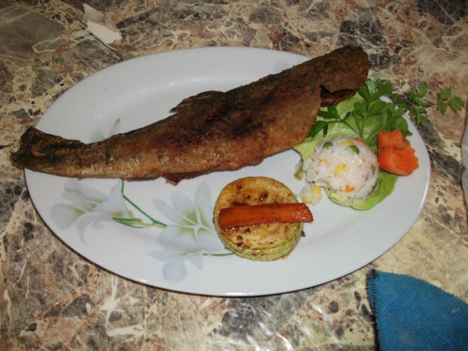 Kod Bivka Smederevca 7